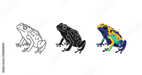 Three frog illustrations: outline, silhouette, and colorful tropical design