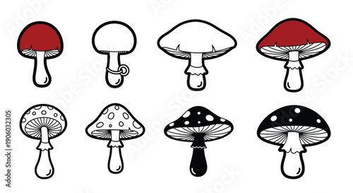 Collection of Various Mushroom Illustrations.