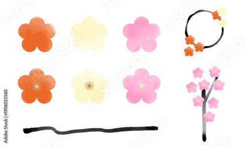 梅の花&梅の枝,枝ぶり,満開,10分咲き｜白梅,紅梅＆薄墨の枝｜Ume