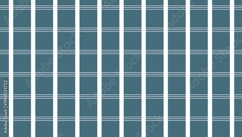 A blue and white plaid pattern featuring intersecting lines creating a classic check textile design.