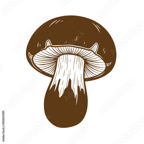 A brown mushroom with a white gill and stem on white background  illustration Grunge Vintage Style