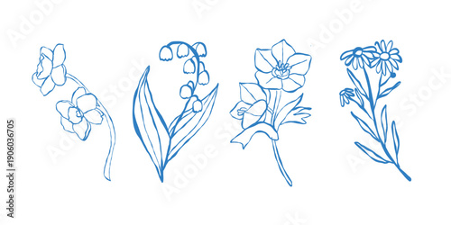 Vector collection of floral and botanical elements. Set of wildflowers, plants, and herbs. Hand-drawn. Vector outline illustrations of bellflowers, chamomile, calendula.