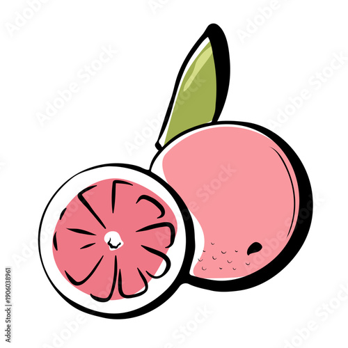 Hand drawn grapefruit illustration with fresh colors and clean lines. Ideal for healthy lifestyle visuals, nutrition content, packaging, menus and clipart sets.