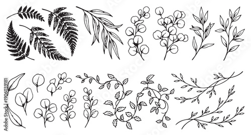 Hand Drawn Botanical Leaf and Branch Line Art Collection, Minimalist Floral Vector Elements for Wedding Invitation and Logo Design