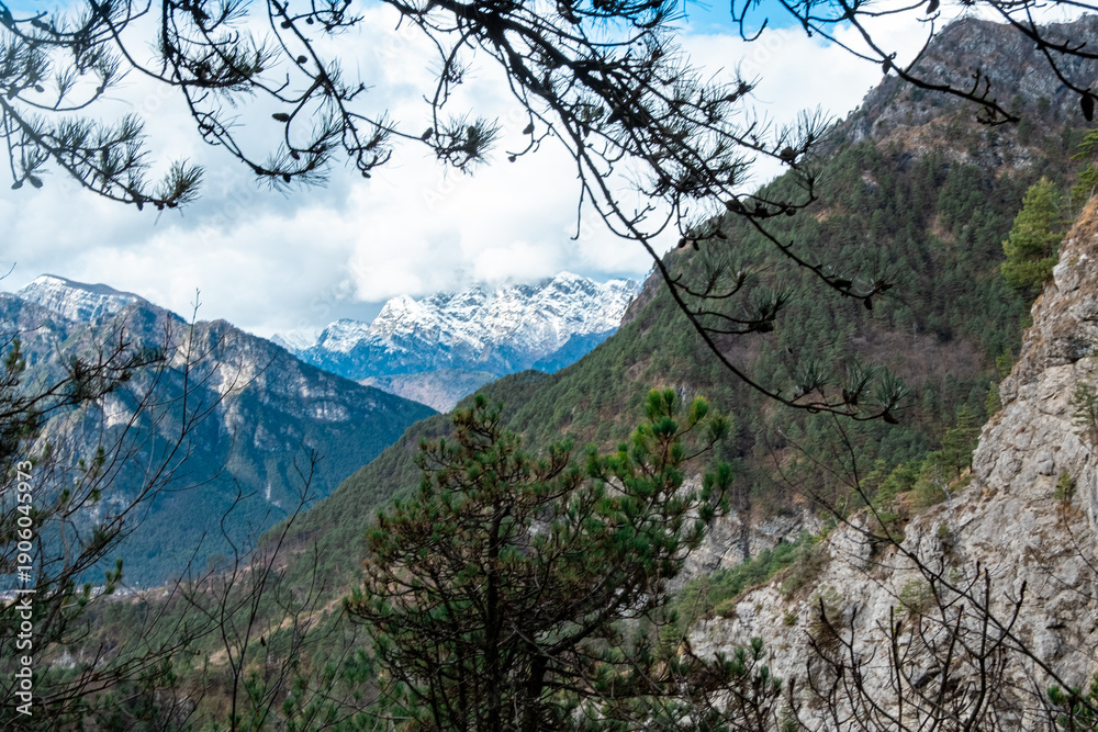 Obraz premium Mountain valley view framed by pine trees and rocky cliff under cloudy sky