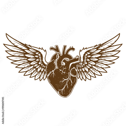 Vintage Grunge Anatomical drawing of a human heart with wings spread wide on a transparent background