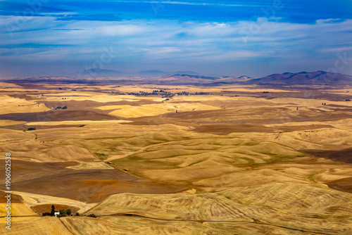 Wallpaper Mural view of the Palouse, a vast agricultural region in eastern Washington  Torontodigital.ca