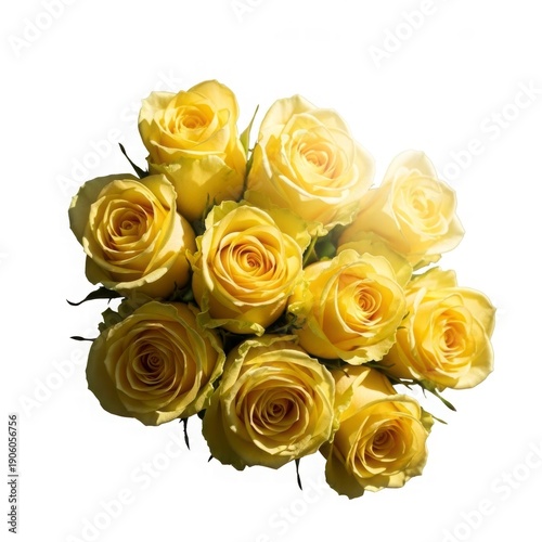 Golden Bouquet of Roses: A radiant bouquet of exquisite yellow roses, symbolizing friendship and joy, presented in a close-up shot that captures the delicate beauty of each bloom, illuminated by soft.