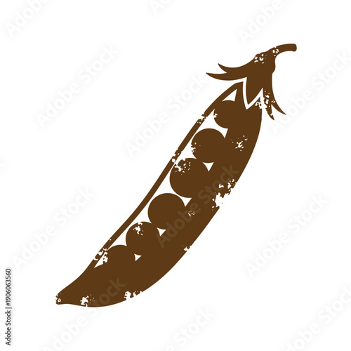 Grunge texture pea pod with peas inside  brown silhouette on white background Vintage Style