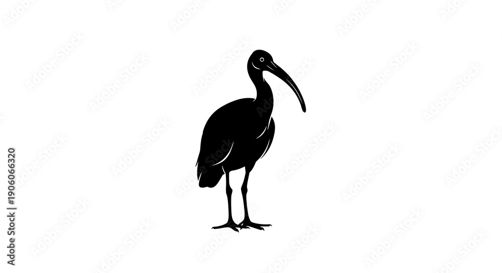 Obraz premium Silhouette of an Ibis - A Striking Black and White Bird Illustration.