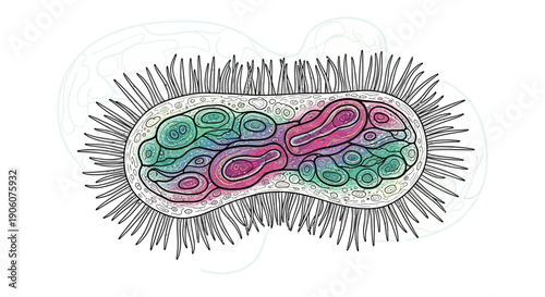 Detailed illustration of a rod-shaped bacterium microorganism with flagella and intricate internal structures on an isolated white background.