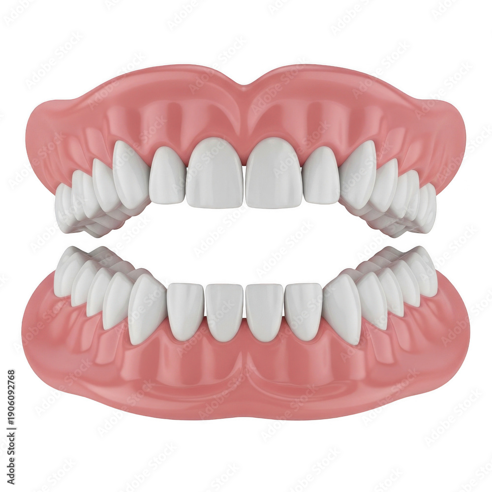 Obraz premium An illustration of a person's upper and lower dental arches with teeth alignment