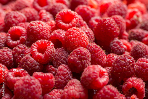 Obraz na plátně Close up of fresh red raspberries in bulk. Red fruits