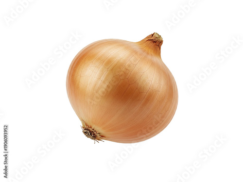 Wallpaper Mural onion isolated on transparant background Torontodigital.ca