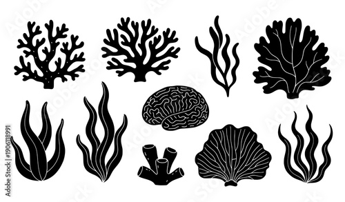 Black coral and seaweed silhouette vector set with abstract underwater plants and marine floral shapes