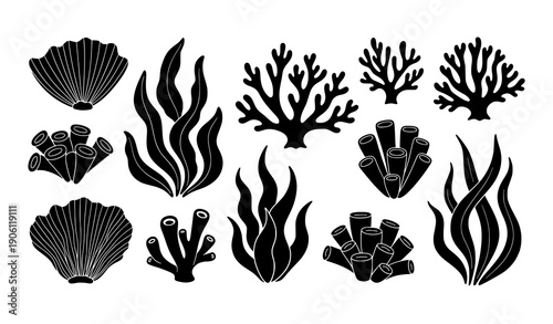 Abstract coral silhouettes and seaweed doodle vector set with organic underwater floral elements
