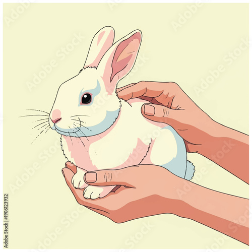 Hands holding a white rabbit gently.