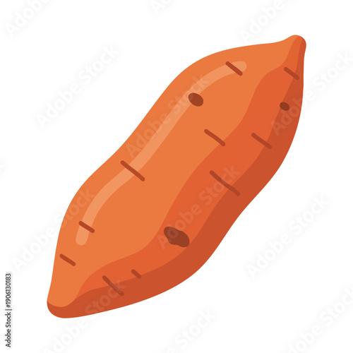 Vector Illustration of Sweet Potato