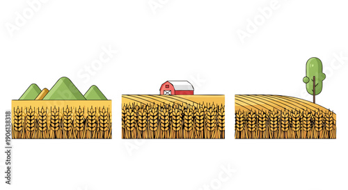 Vector illustration showing three distinct vibrant golden wheat field scenes with natural farm elements displayed horizontally.