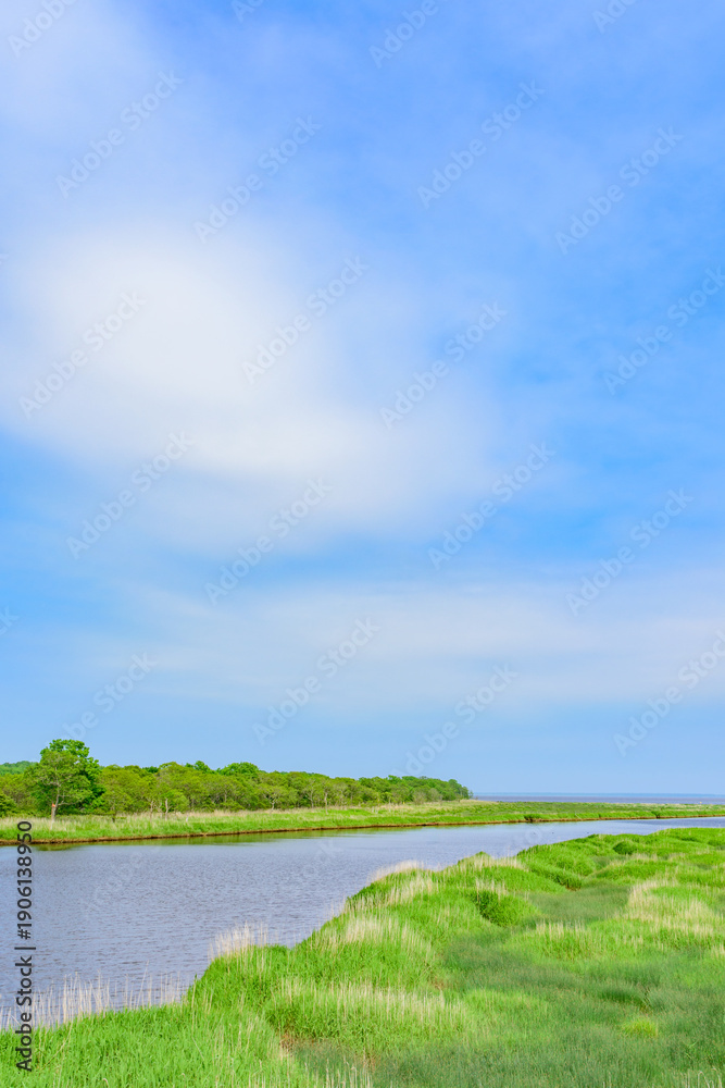 Naklejka premium 道東 ヤウシュベツ川湿原 夏 