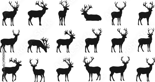 Deer silhouette icon set, black wild stag animals collection in standing and grazing poses, forest wildlife symbols, clean flat vector illustration isolated on white background