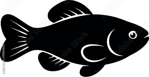 Devils Hole Pupfish image