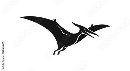 Black Pterodactyl Flying Silhouette Illustration.