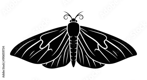 Black Moth Silhouette with White Veins.