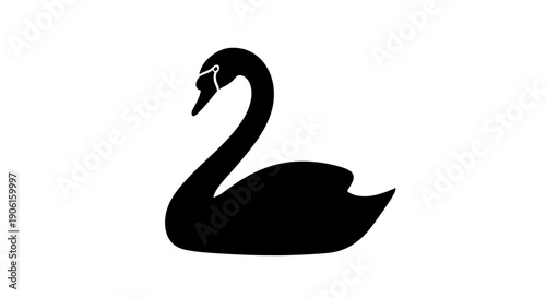 Black Swan Silhouette on White Background 2.