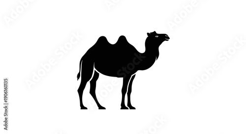Camel Silhouette Standing Alone Profile View.