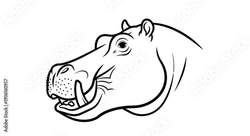 Hippopotamus Head Illustration with Open Mouth.