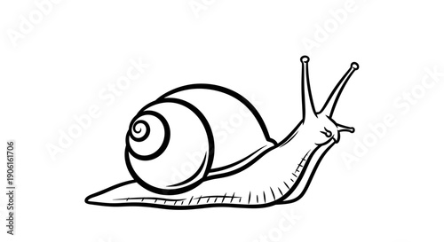 Simple Black and White Snail Illustration.
