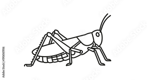 Simple Line Drawing of a Grasshopper 1.