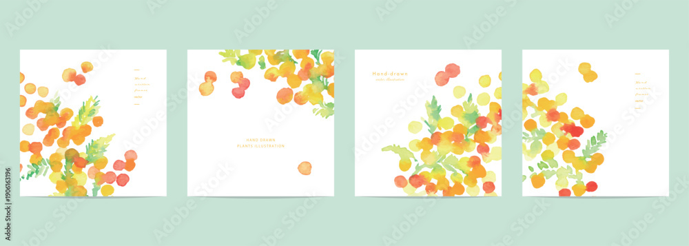 Naklejka premium 水彩タッチのミモザイラストテンプレート。春のミモザベクターイラスト。ミモザの背景。Watercolor mimosa illustration template. Spring mimosa vector illustration. Mimosa background.