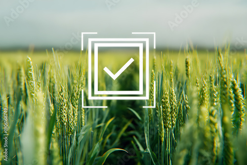 Wheat field with green plants and a checkmark symbol in the center during daylight hours in rural surroundings