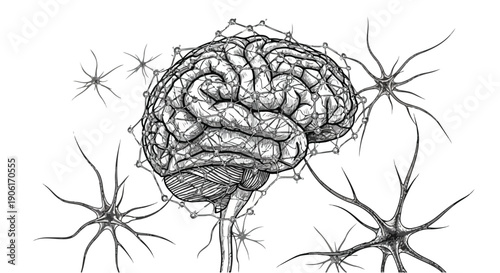 Human brain neural network medical sketch art