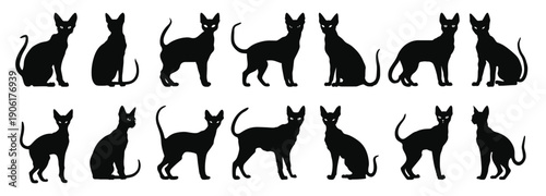 cornish rex cat silhouettes vector bundle set of black cats