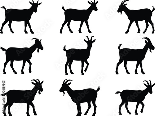 Collection of goat silhouettes, farm animal vector set, black isolated livestock icons, rural agriculture illustration, domestic goat poses, editable clipart design elements