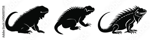  iguana silhouette clipart bundle