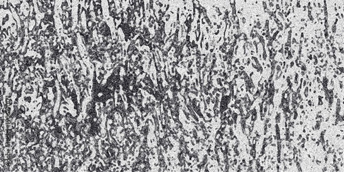 Vertical abstract grayscale texture with a distressed, organic, and slightly dripping appearance, featuring dark, fluid shapes against a speckled background