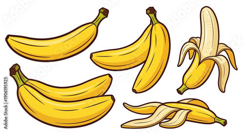 Vector Cartoon Banana Collection Whole Cluster and Peeled Fruit