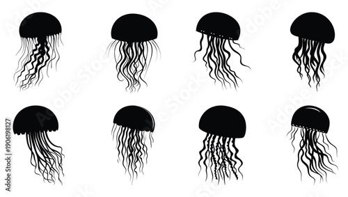  jellyfish silhouette black clipart bundle