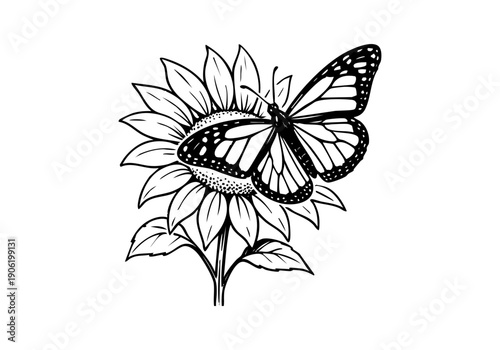 Sunflower Hand Drawn Illustration Vector by AZ for Books, Arts, Design and Decoration Graphic Asset