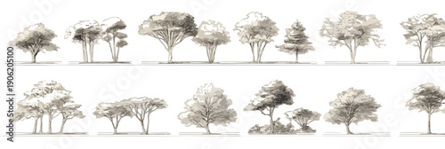 흰색 배경 위에 투명한 수채화나 연필 드로잉 느낌으로 정교하게 묘사된 다양한 수종의 나무 스케치 세트이며 건축 도면이나 조경 디자인 프로젝트에서 활용하기 좋은 핸드드로잉 스타일의 식물 일러스트레이션입니다.