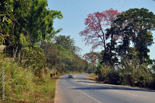 landscape of road in the countryside
