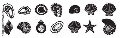  flat icons of seashells oysters and scallops the