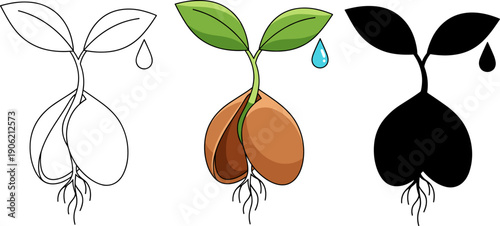 New life sprouting from seed with fresh water drop