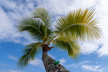 Fototapete Krankenhaus Hawaiianische Brise mit goldenem Sonnenlicht  © Christopher Avila