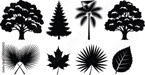 Black Tree and Leaf Silhouette Set Featuring Deciduous Oak Pine Palm and Maple Elements Isolated on White Background for Nature Branding and Graphic Design