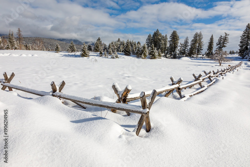 Wallpaper Mural winter scene of a snow-covered field on a beautiful day near Whitefish, Montana Torontodigital.ca